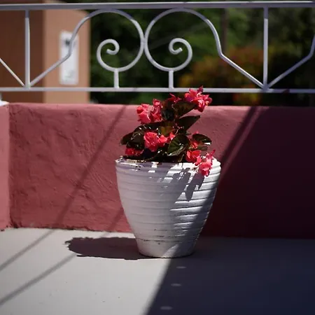 Nyaraló Kontesa Kamara Corfu